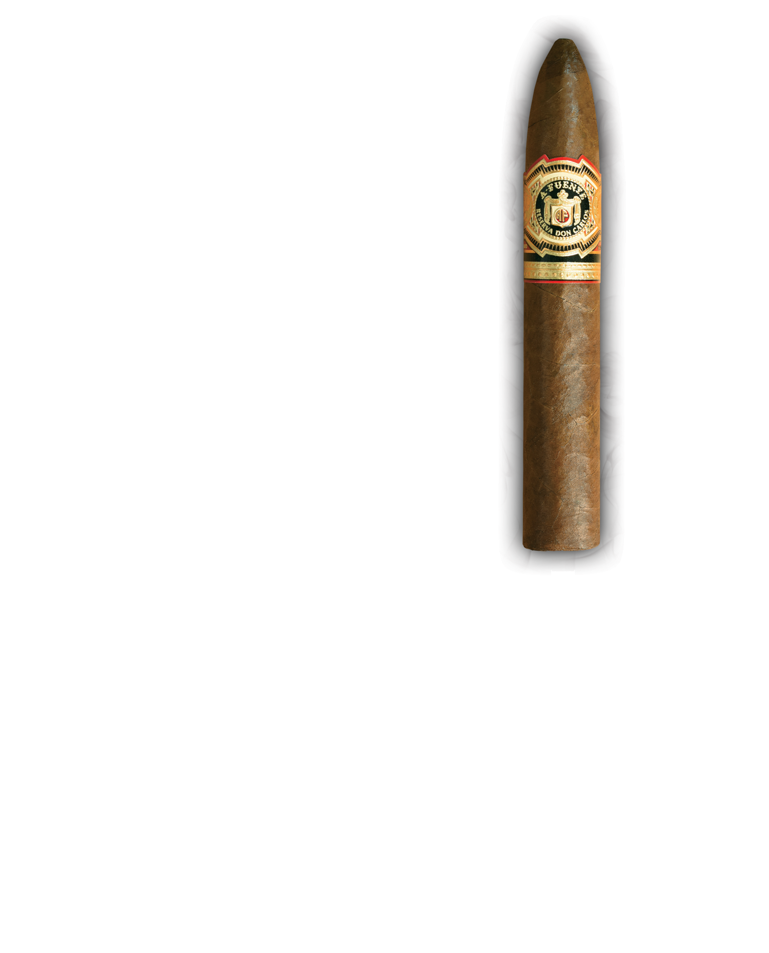 Don Carlos Arturo Fuente